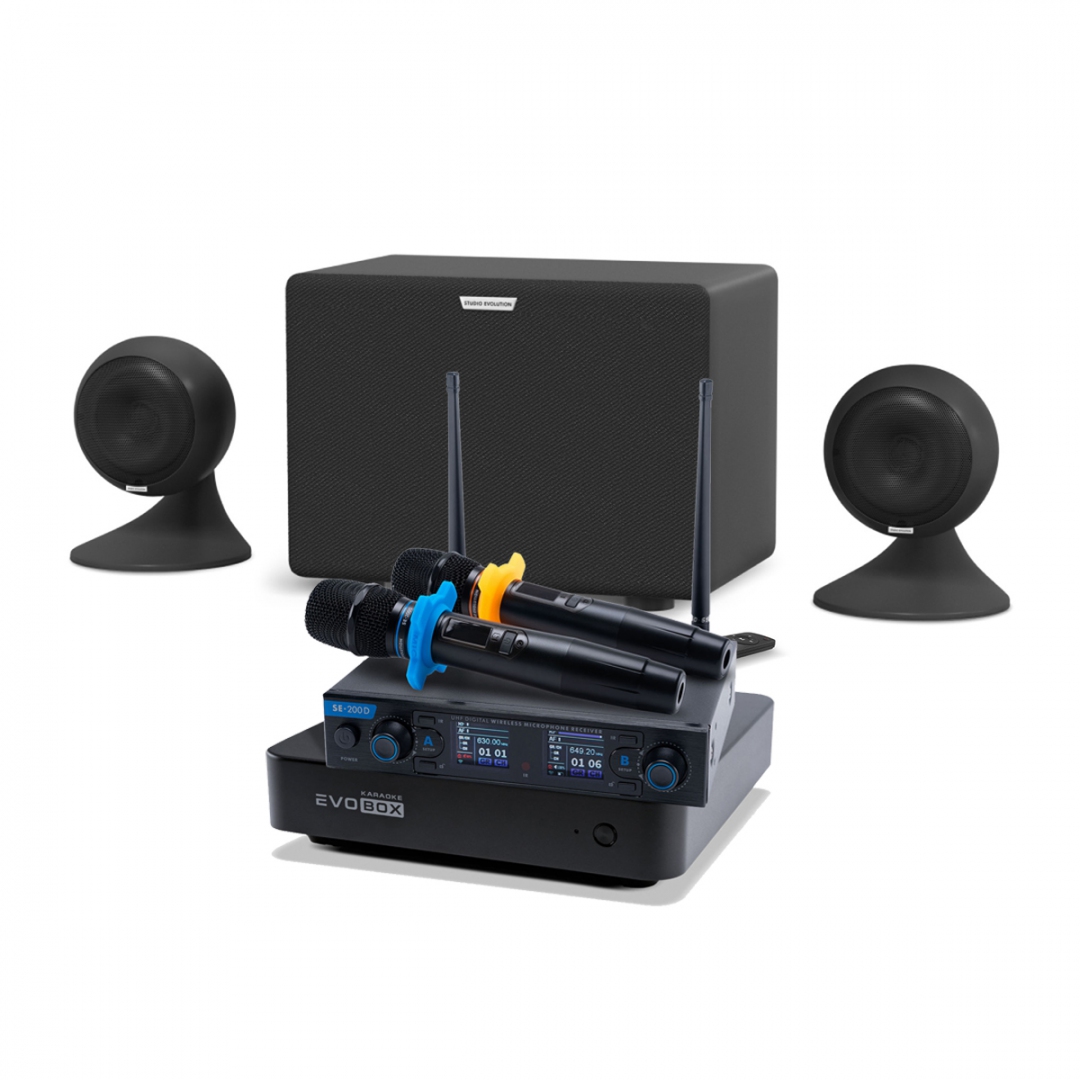 караоке-комплект EVOBOX + EvoSound Sphere 2.1 в Плесецке