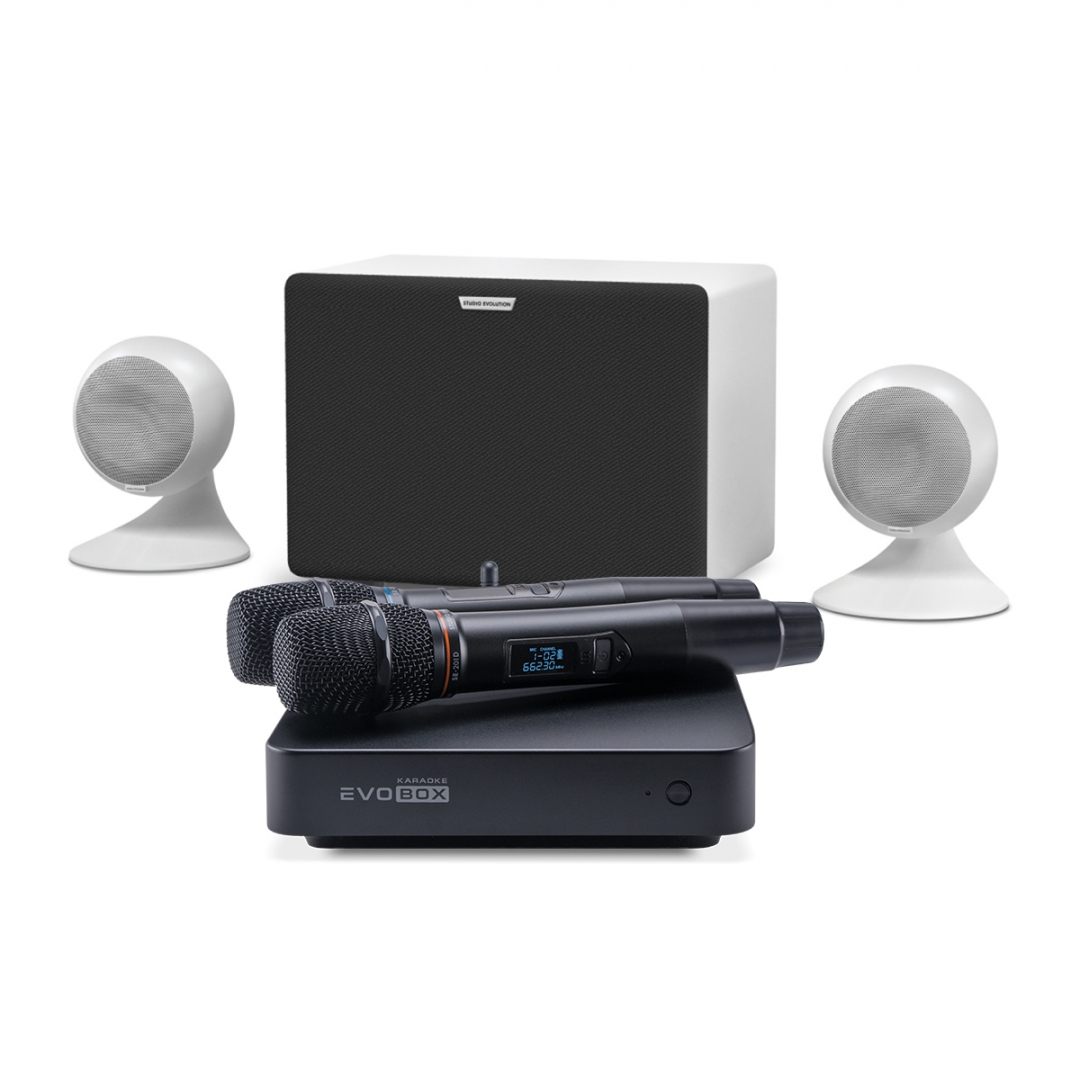 караоке-комплект EVOBOX Classic + EvoSound Sphere 2.1 в Плесецке