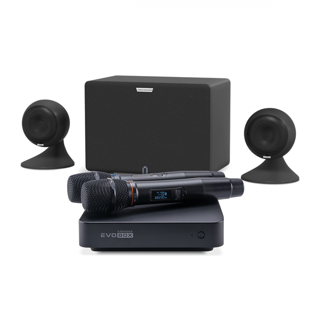 караоке-комплект EVOBOX Plus + EvoSound Sphere 2.1 в Плесецке