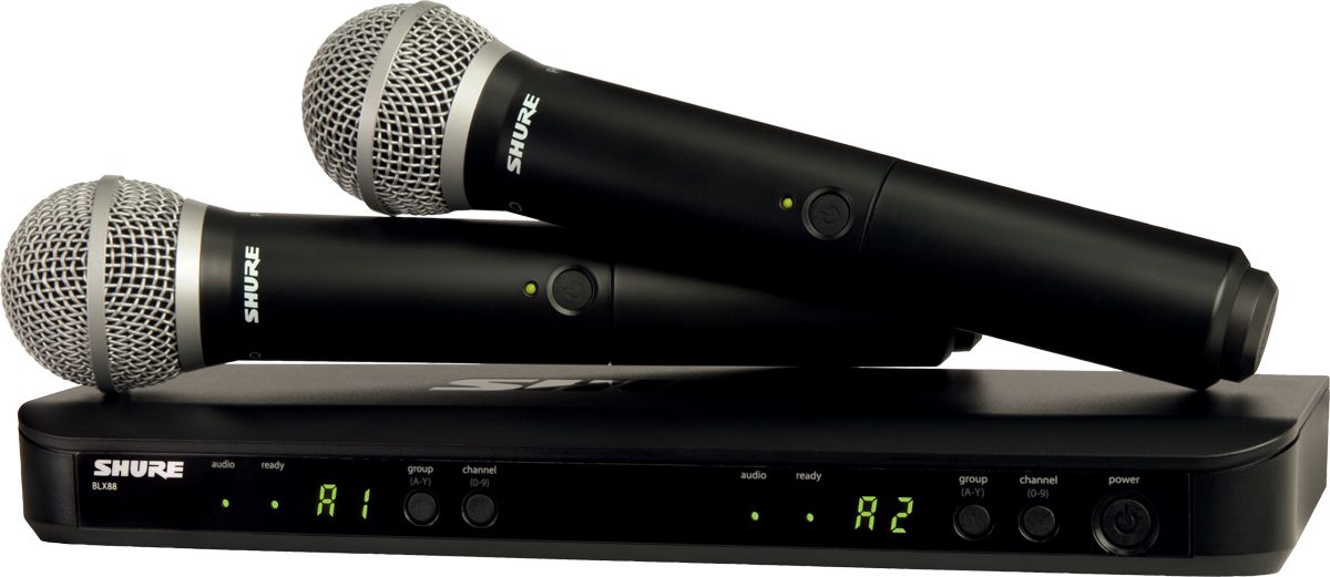 SHURE BLX288E/PG58 M17 вокальная радиосистема в Плесецке