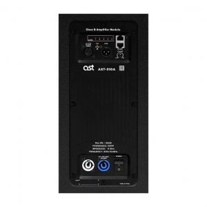 Активная акустическая система AST-310A в Плесецке