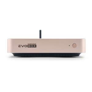 EVOBOX Plus караоке-система для дома в Плесецке