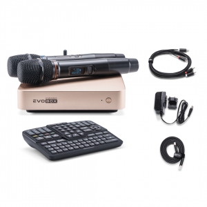 EVOBOX Plus караоке-система для дома в Плесецке
