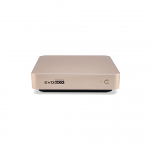 EVOBOX с микрофонами в Плесецке