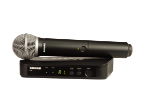 SHURE BLX24E/PG58 M17 вокальная радиосистема в Плесецке