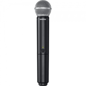 SHURE BLX288E/SM58 M17 вокальная радиосистема в Плесецке